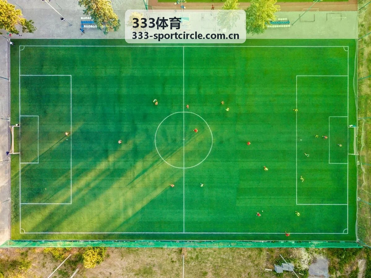 333体育欧冠决赛全场集锦封面