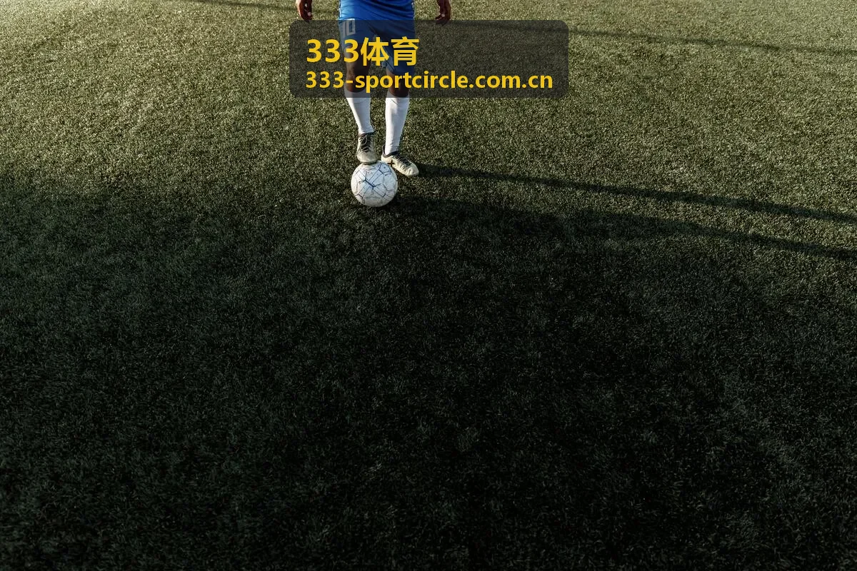 333体育视频集锦球员特写封面